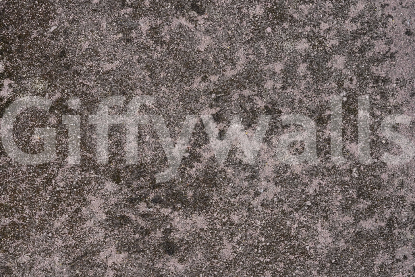 Mottled Earth Wall Mural -2566603