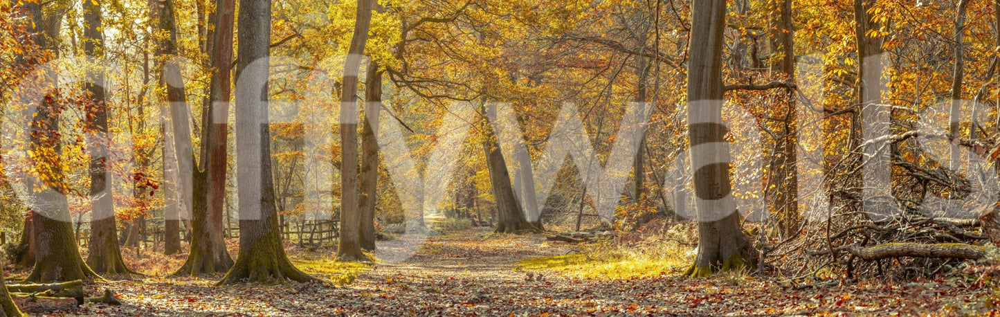 An expansive view of natural beauty