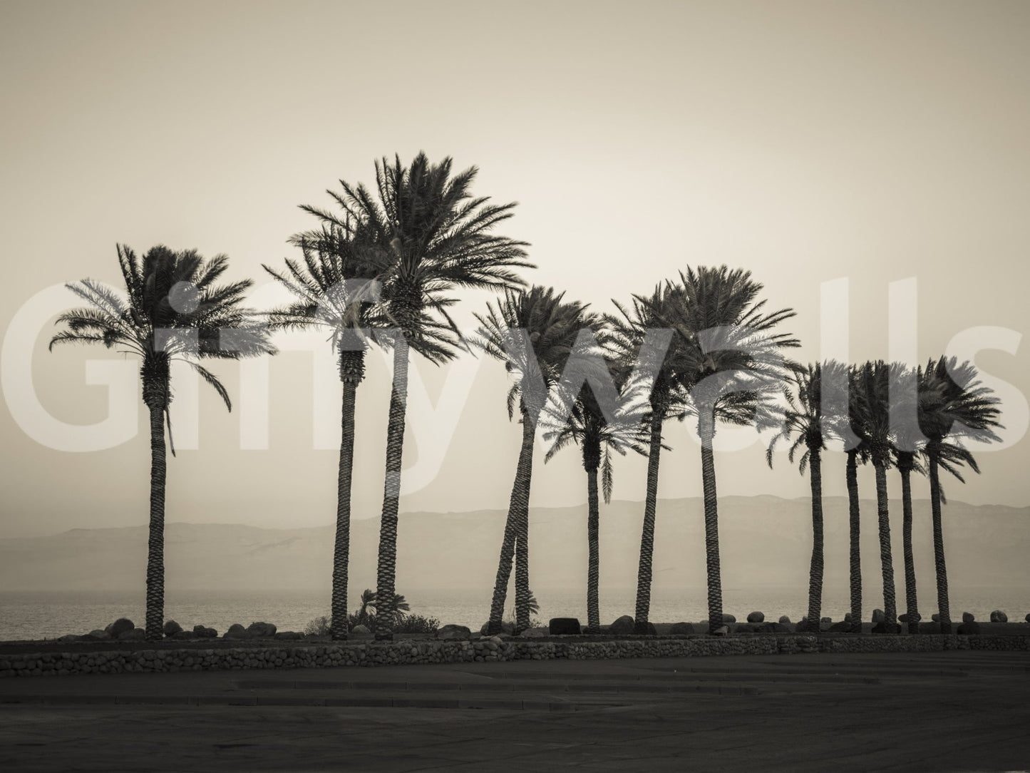 Ideal for creating a relaxing environment in bedrooms or living rooms