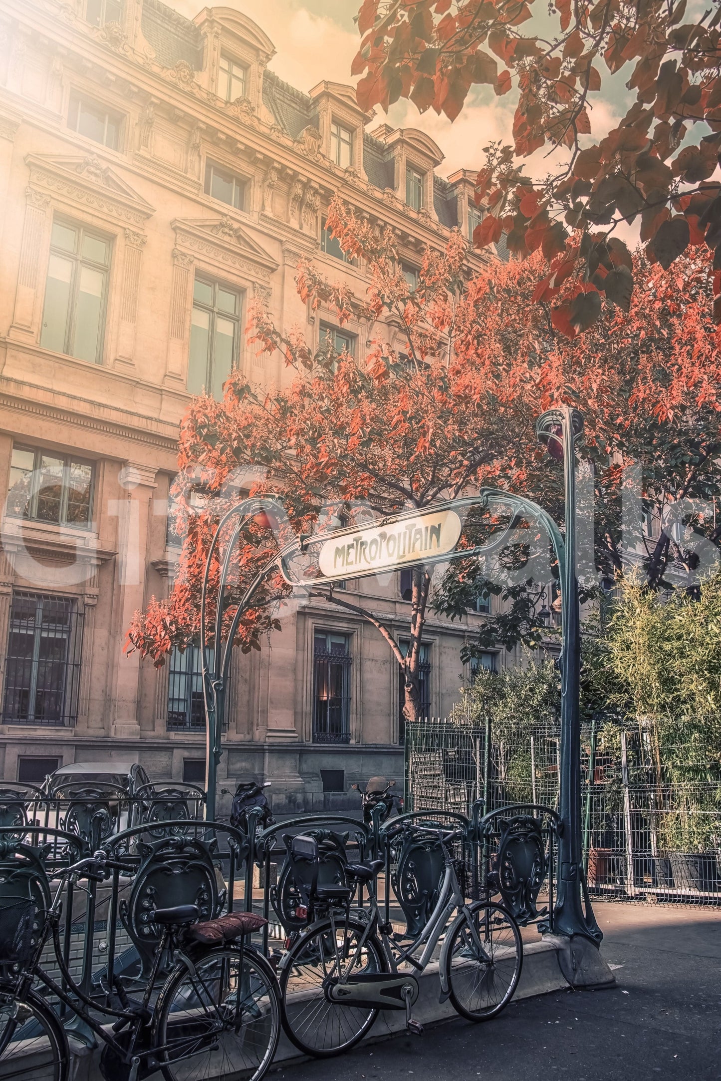 Parisian Metro Charm Wall Mural