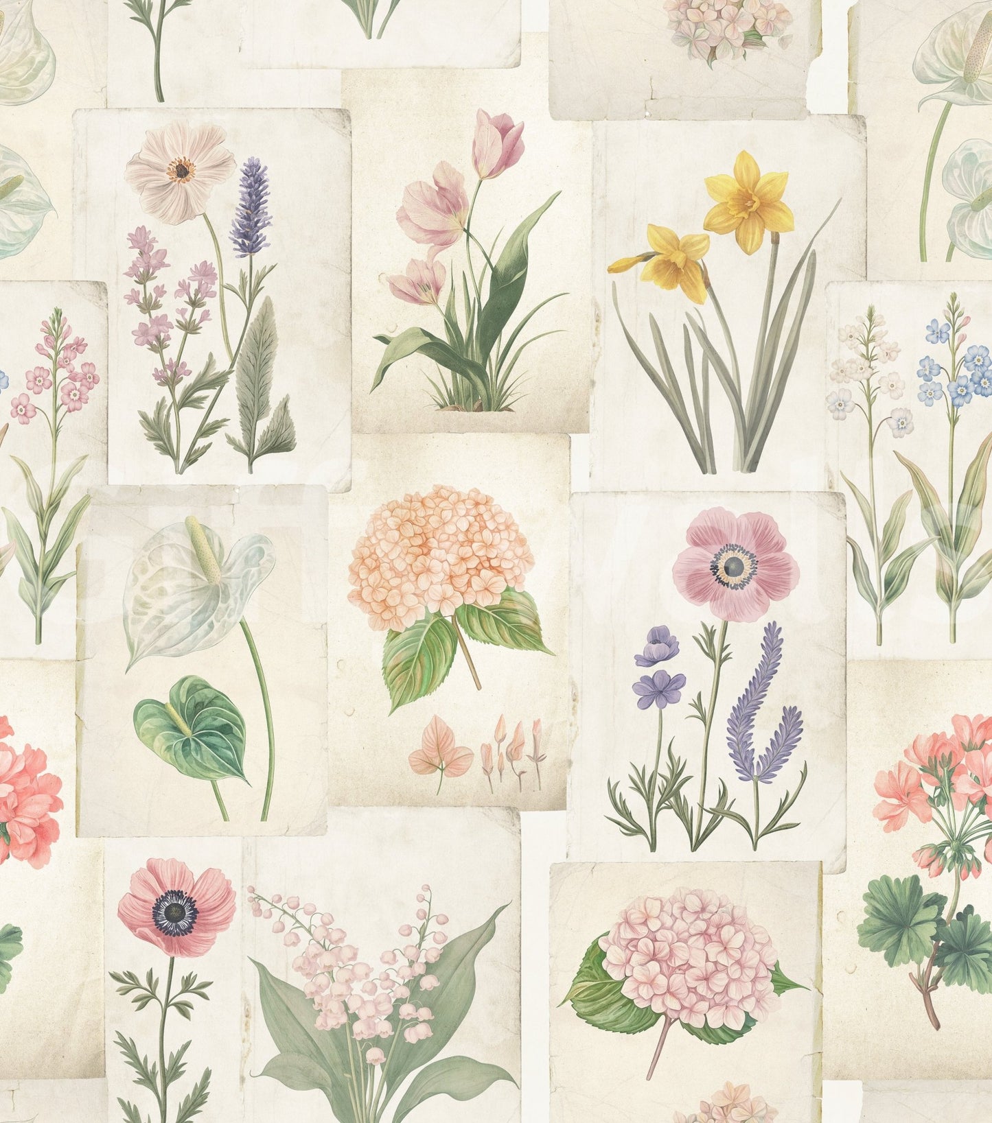 Pastel Floral Botanical Collage Wallpaper