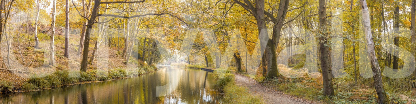 The wallpaper has a smooth, non-reflective matte finish.