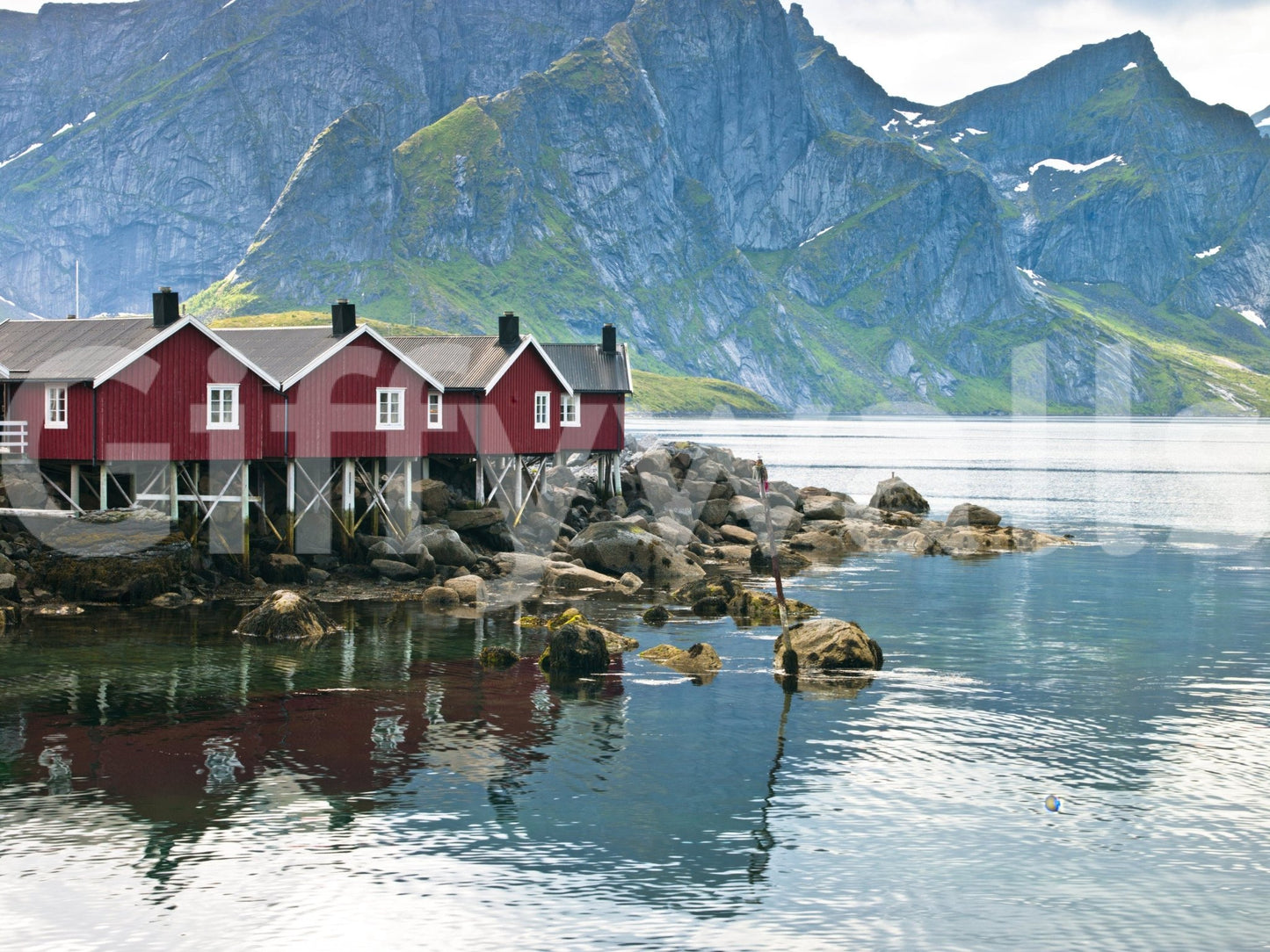 Serene fjord wall mural with rocky shoreline