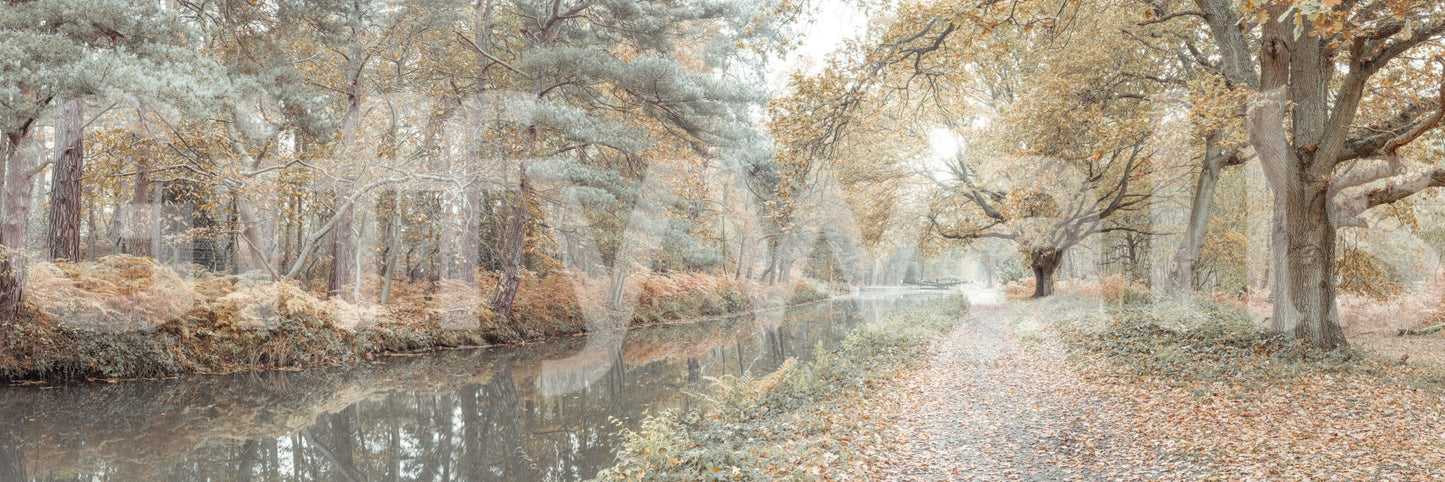 Scenic autumn landscape mural with a calm waterway bordered by tall trees.