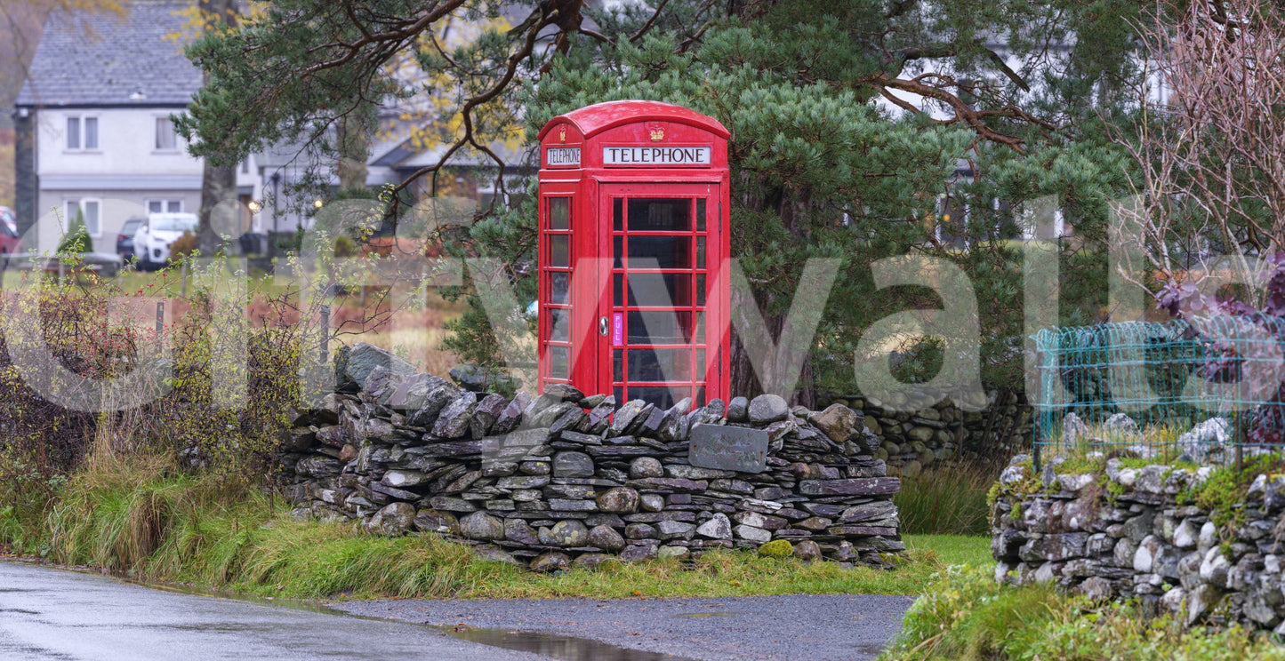 A detail of the brushstrokes and tones in the design.