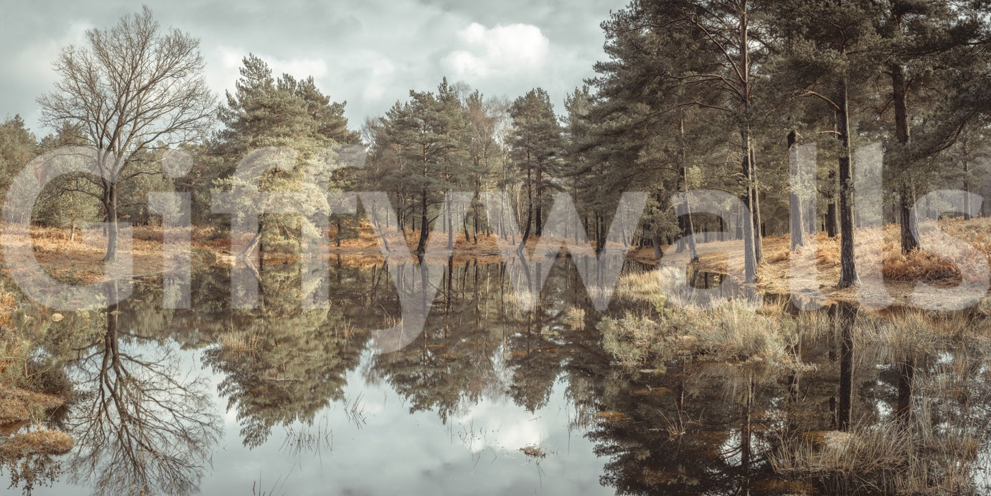 a peaceful body of water