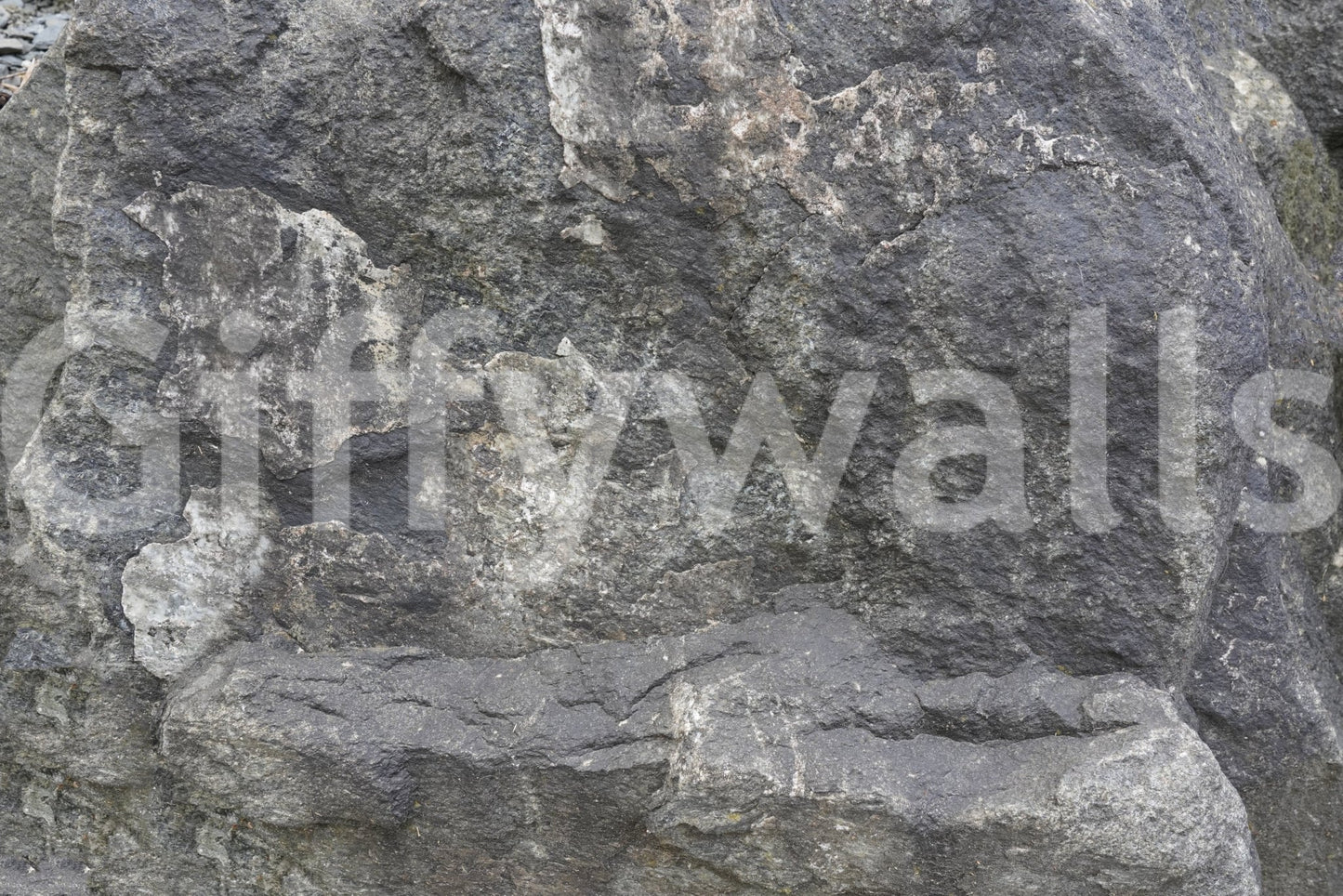 Rocky Surface Wall Mural -2566618