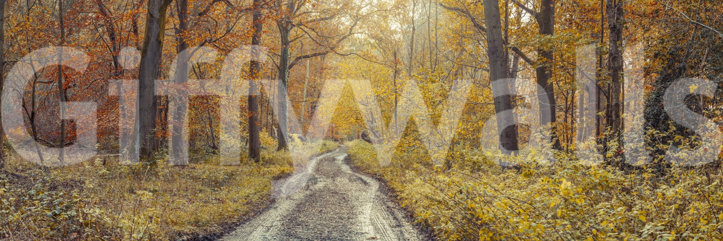 Forest landscape art.