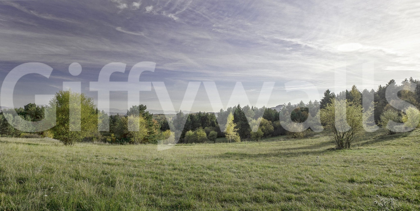 Gentle rolling hills or flat fields.