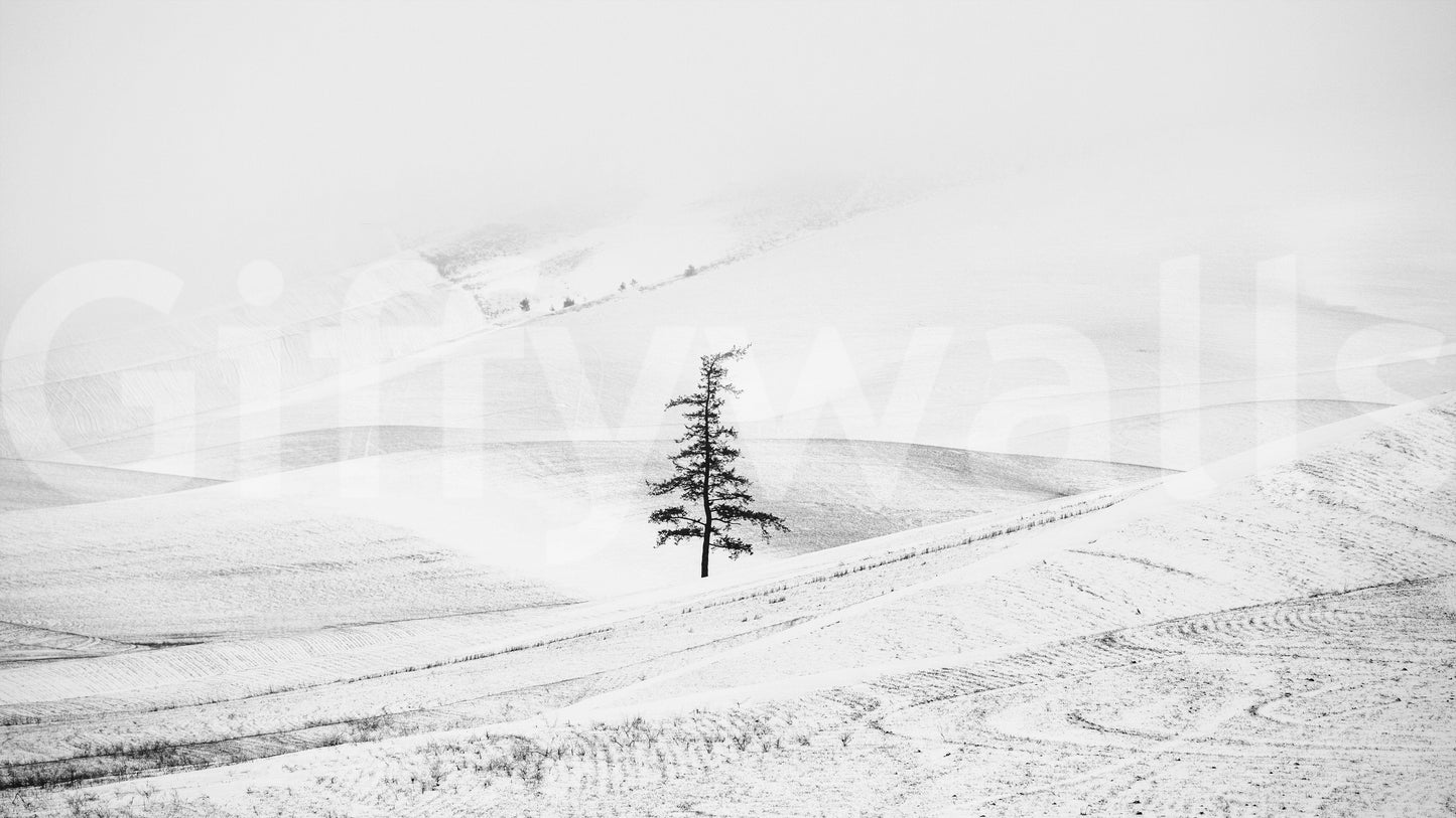 Fresque murale Silent Hills -2349318