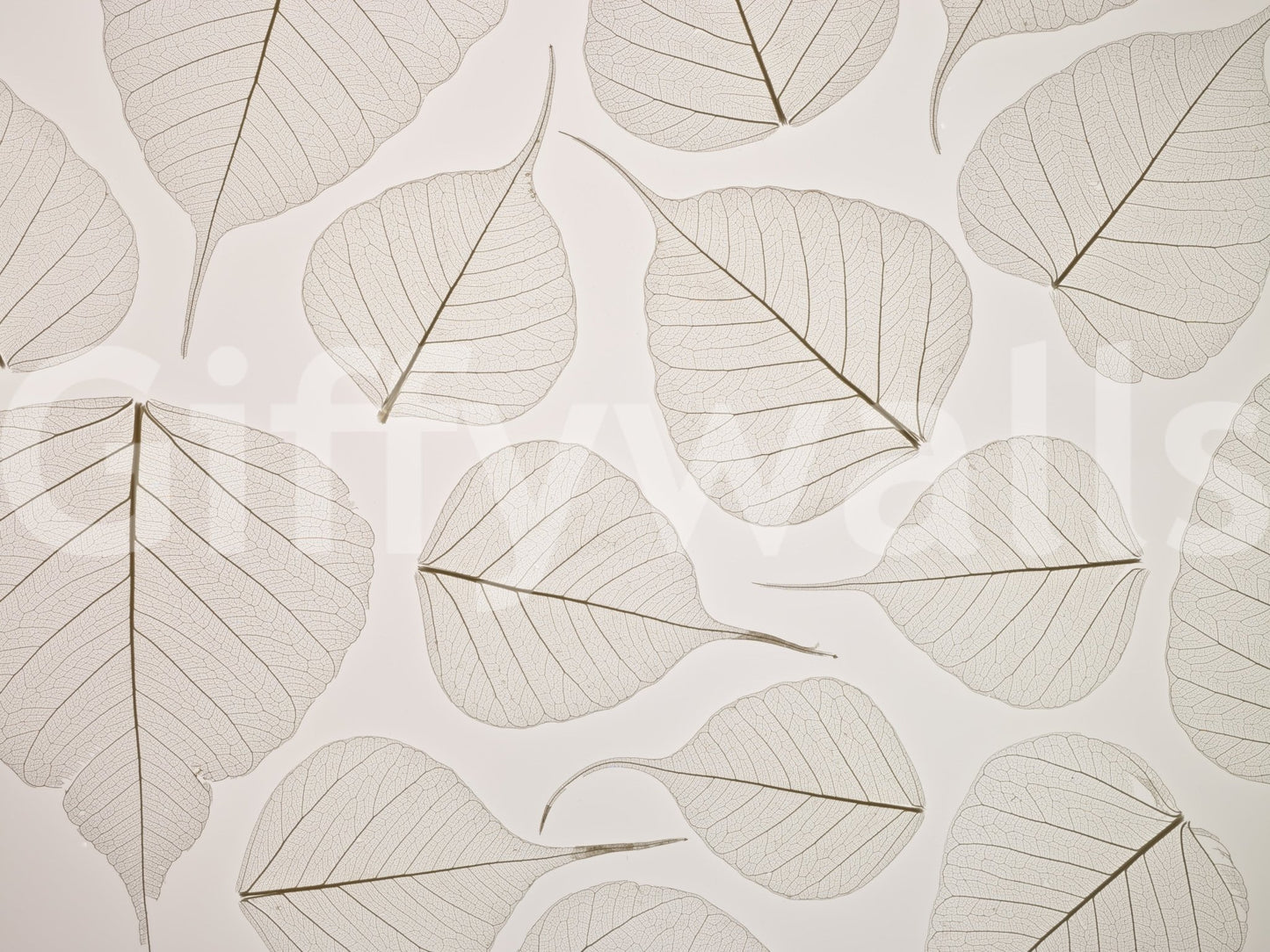 Skeletal Leaves Wall Mural