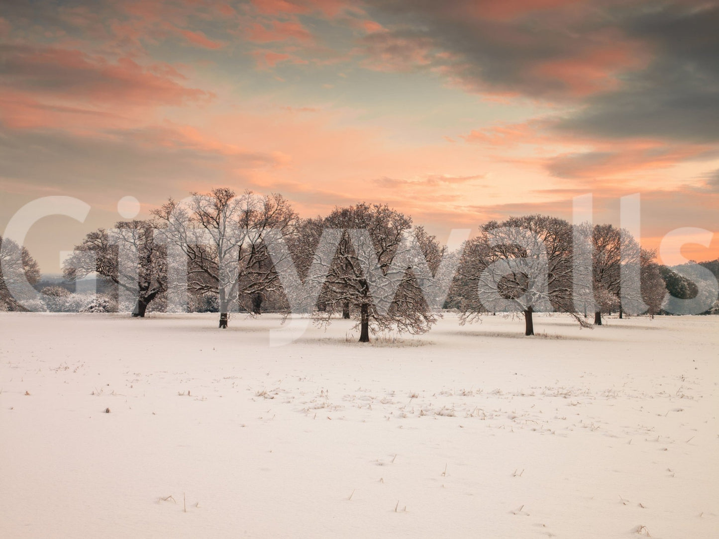 Calm winter field wall mural in pastel sky