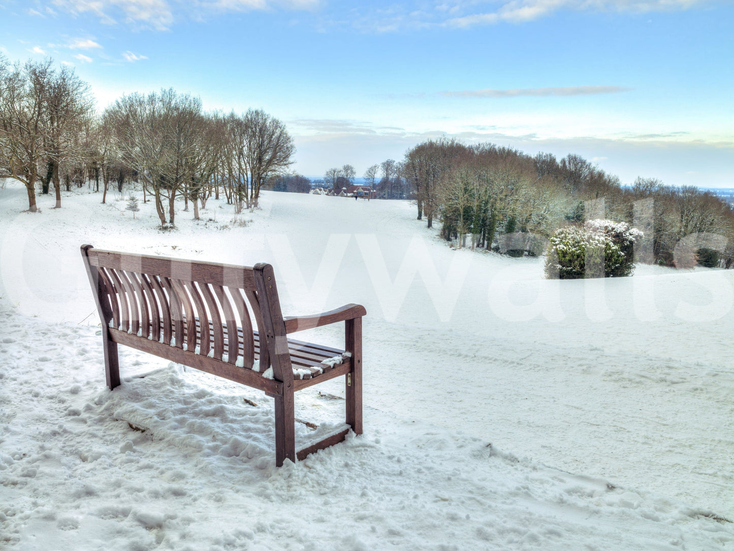 Classic winter image, frosty trees lining slope, Snowy Landscape mural.