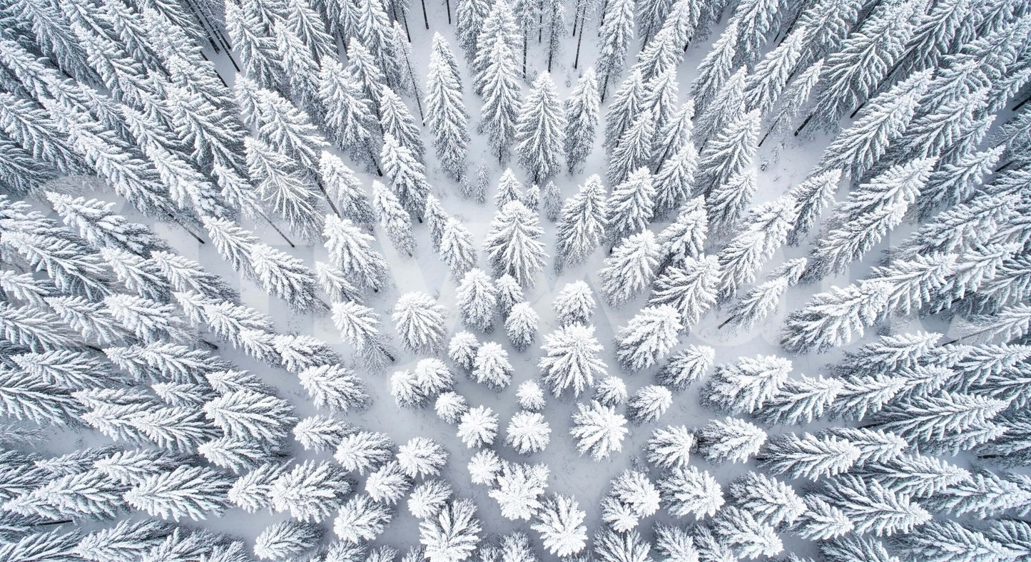 Winter mural behind TV in living room, sleek modern wall decor background