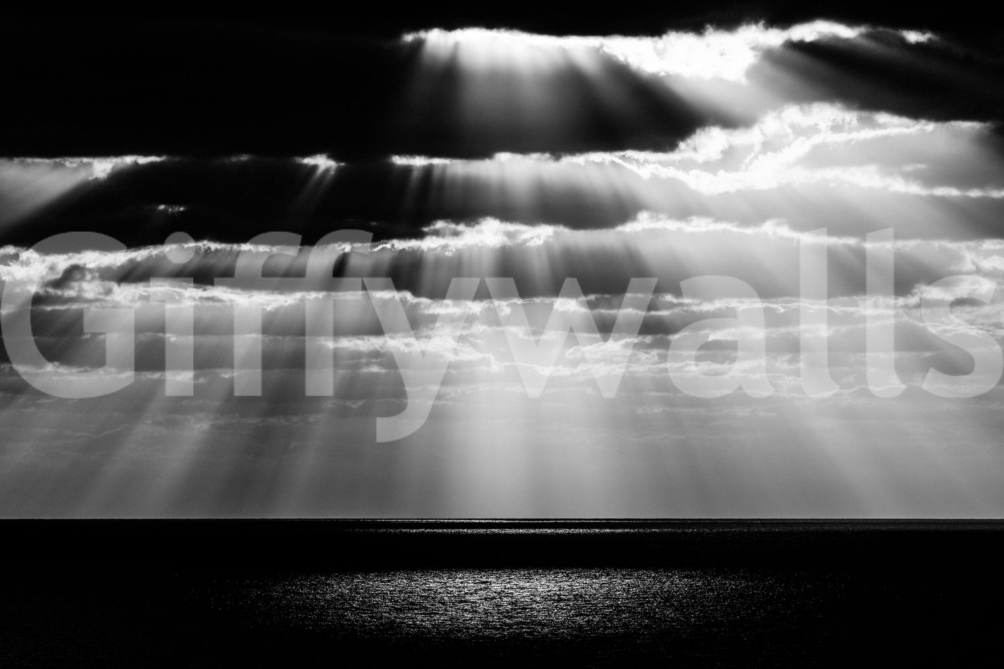 A high-quality spot pattern wall mural for walls.