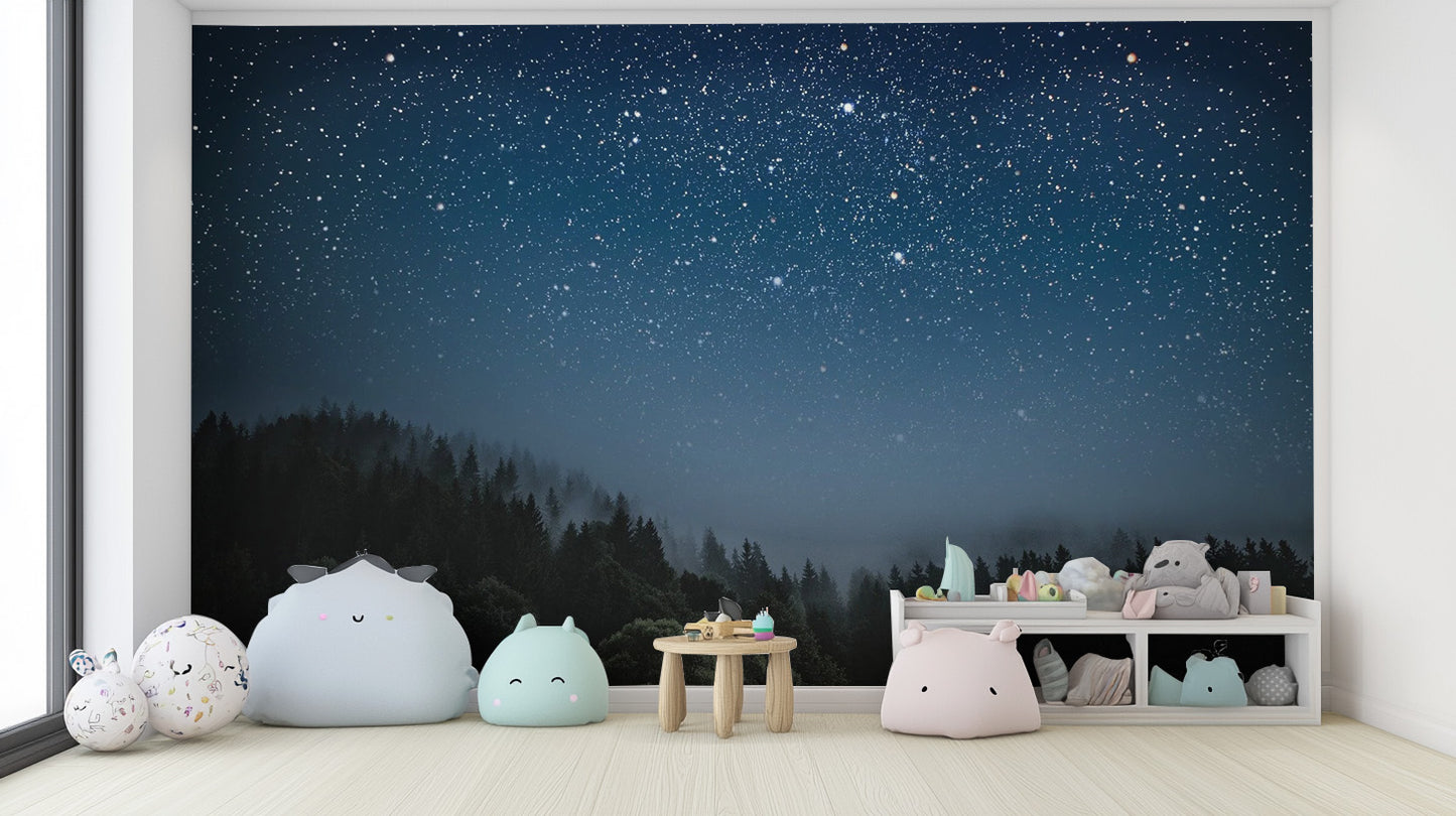 Magical Starry Night Wall Mural for Homes