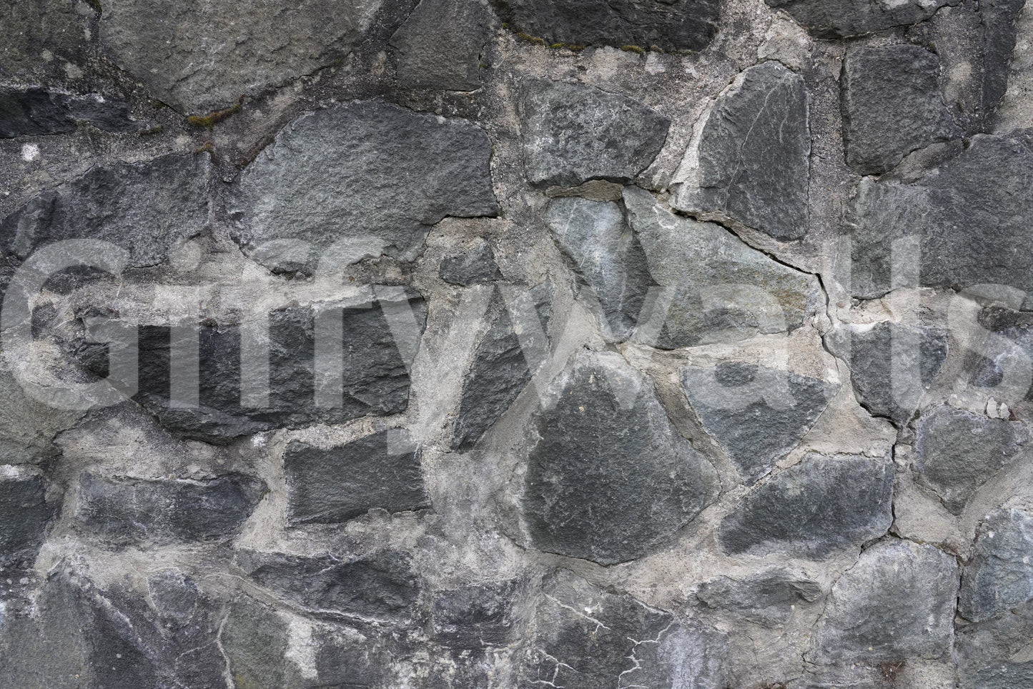 Stone Facade Wall Mural -2566587