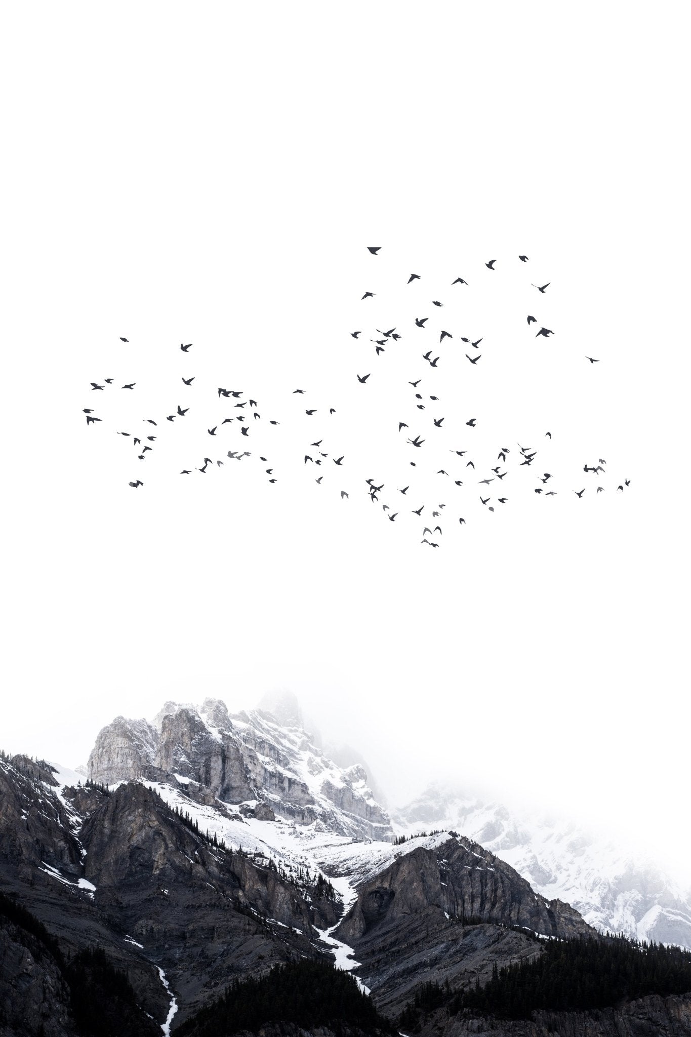 Suitable for a natural, contemporary, or inspirational interior.