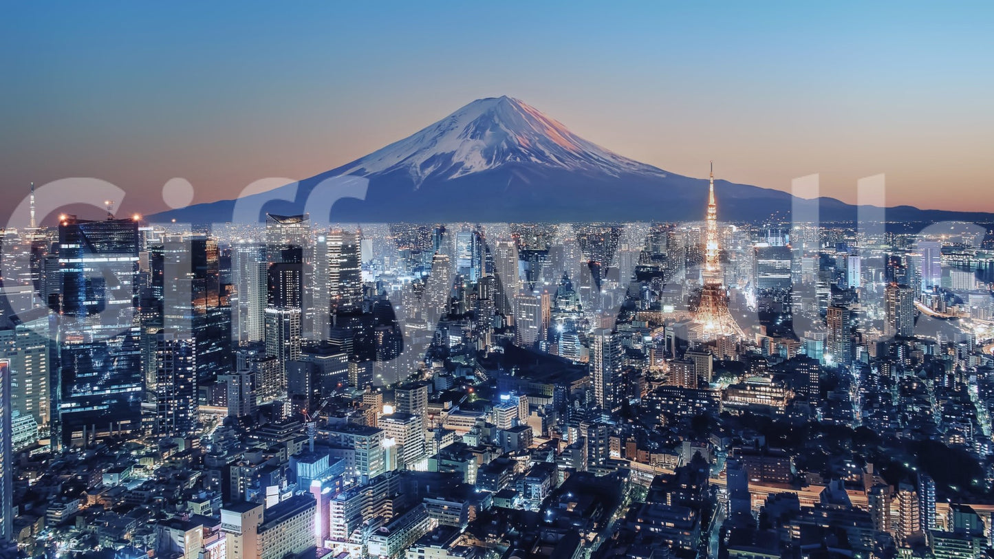 Tokyo skyline dusk mural in bedroom, soft colour and clean style