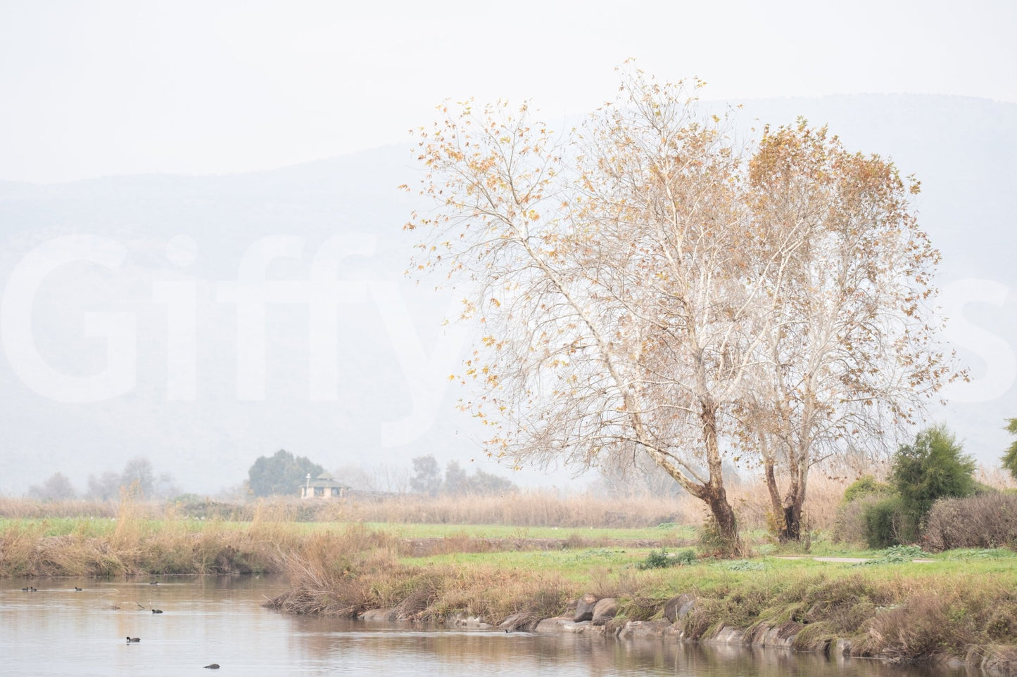 Provides a grand and artistic backdrop.