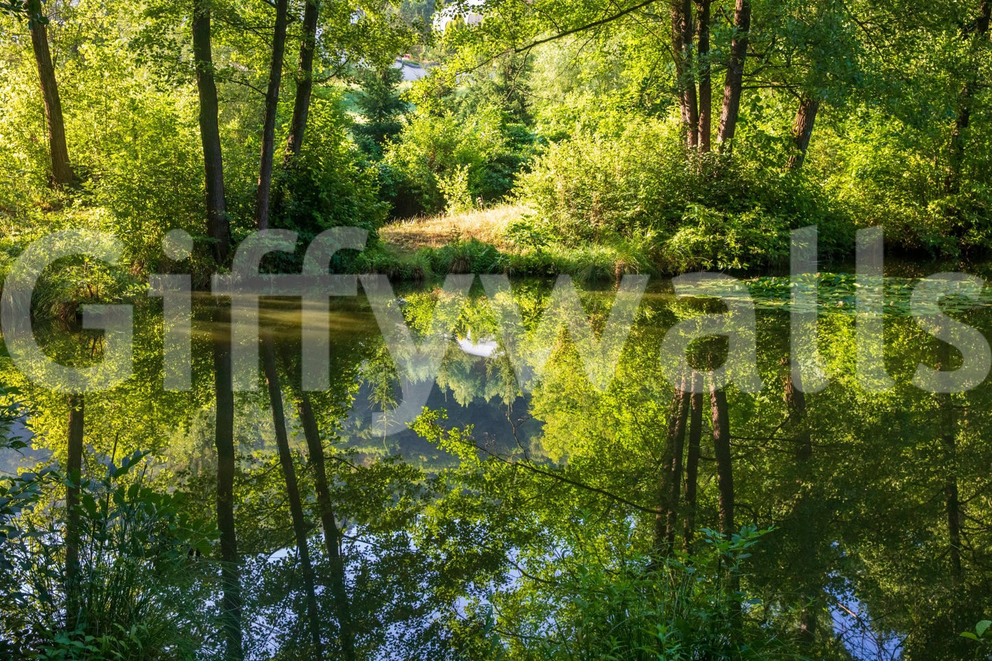 Tranquil Nature Reflection Art Print - Serene Water and Greenery Scene Wall Mural