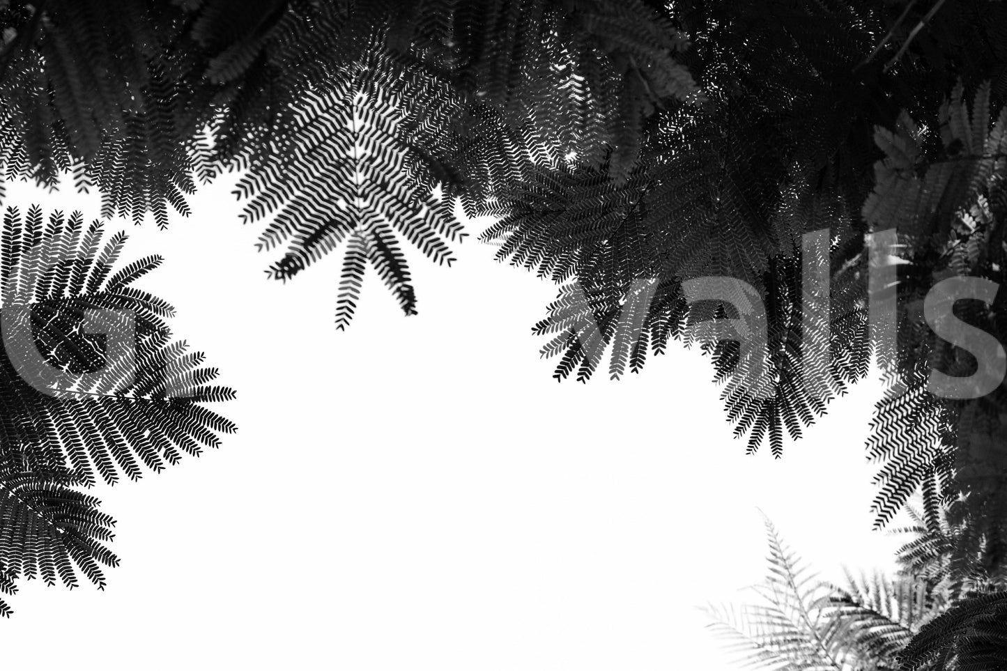 An artistic nature escape mural for home decor.