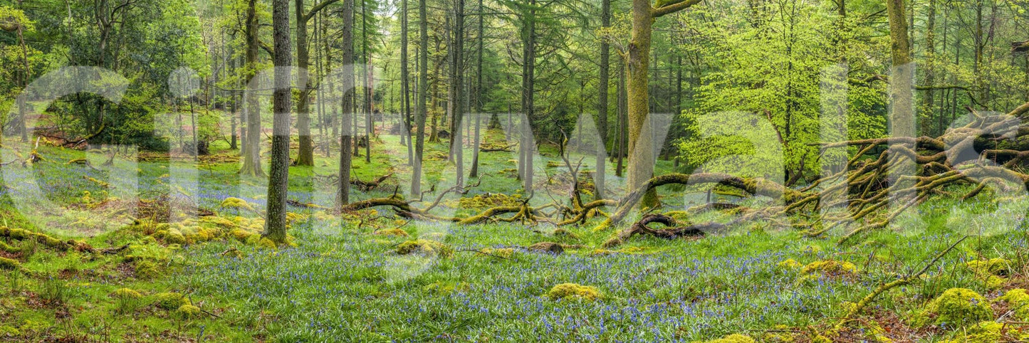 The wallpaper has a smooth, non-reflective matte finish.