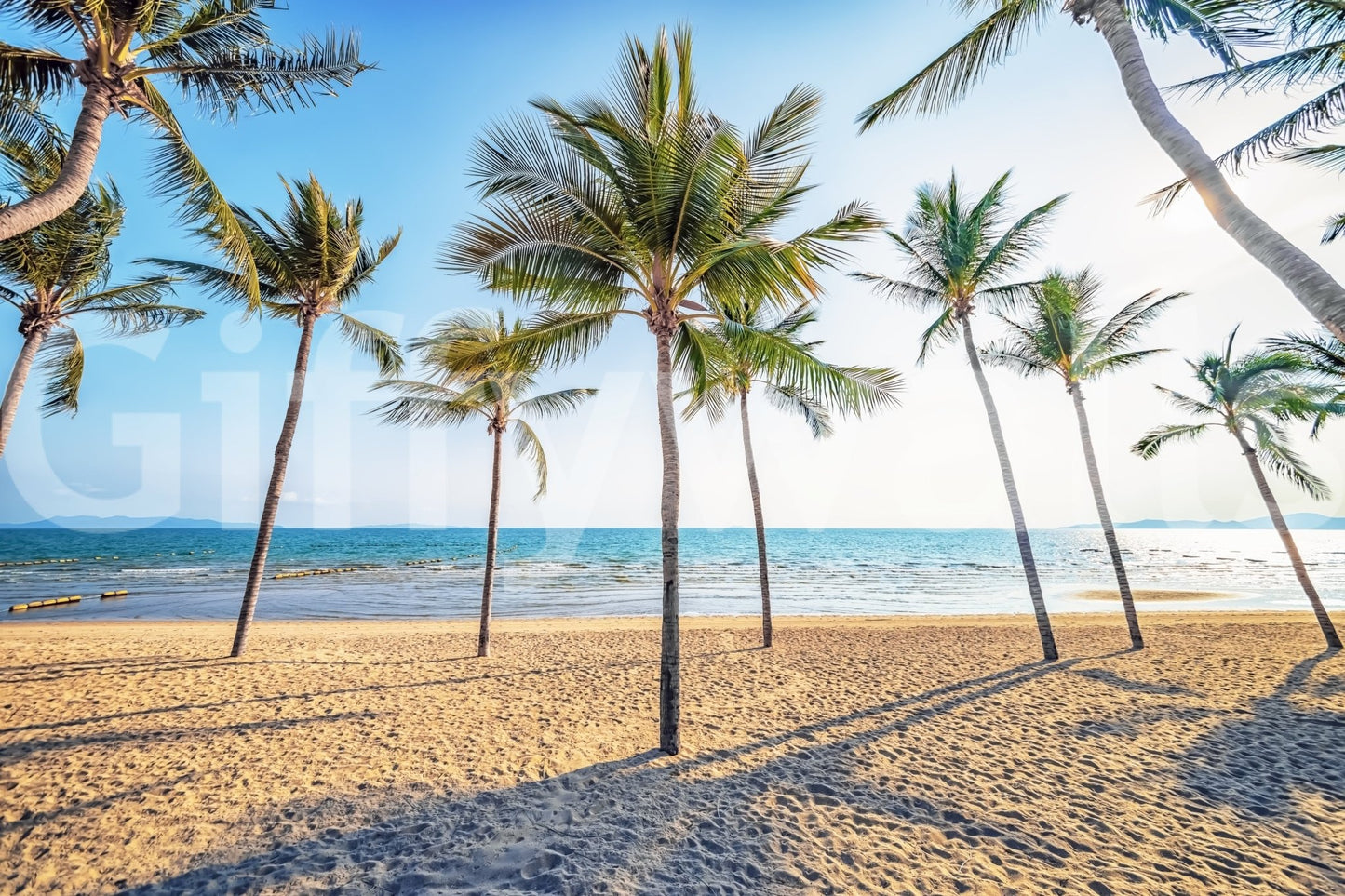 Tropical Beach Scene Wall Mural