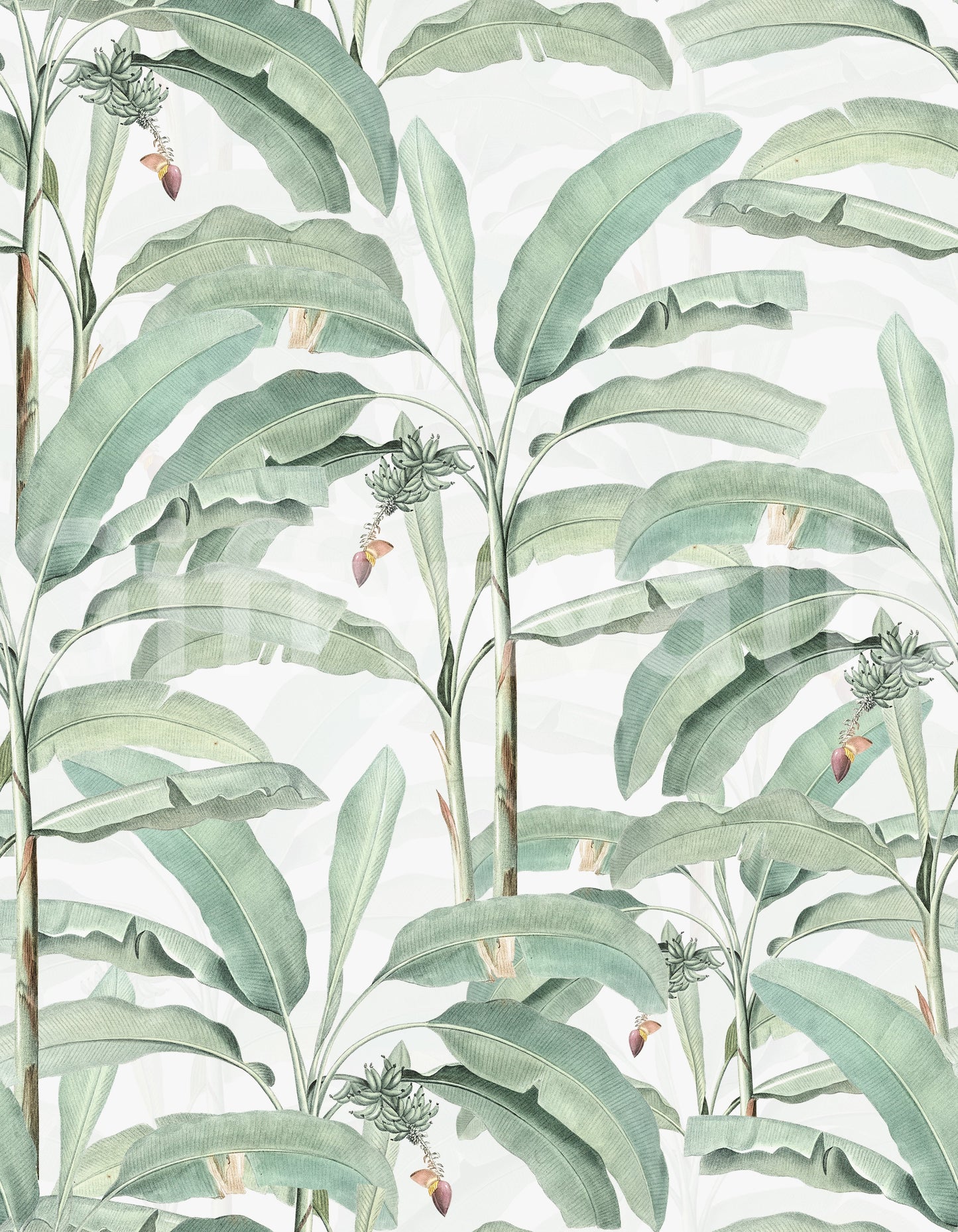 Wallpaper with lush palms and vibrant tropical blooms for a dreamy look.