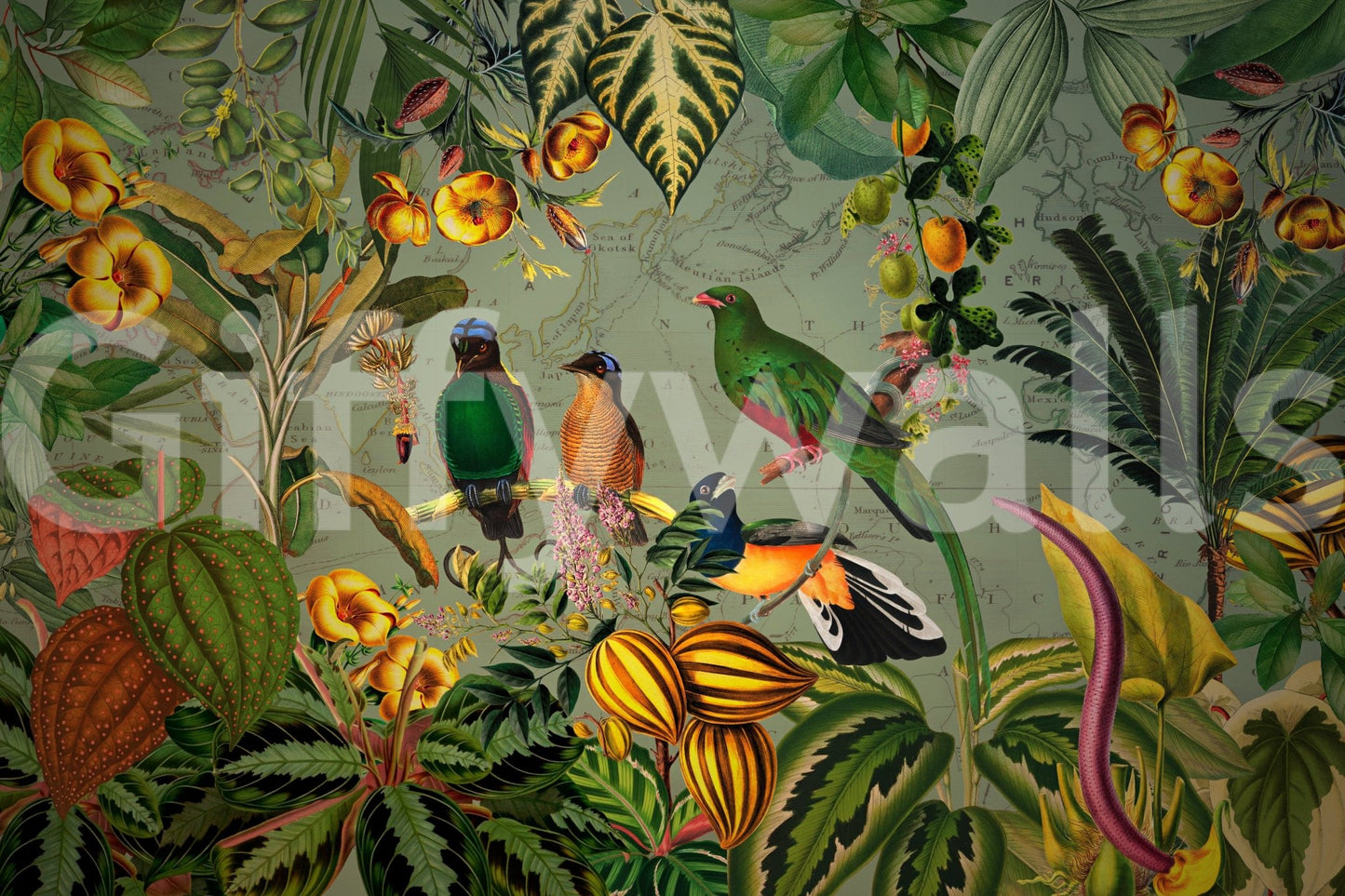 Tropical Explorers' Chart Wall Mural