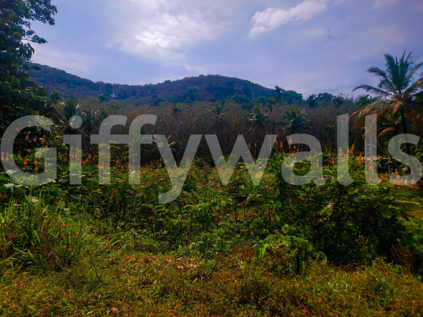 Tropical Canopy with lush red flowers and plants Photography Wall Mural