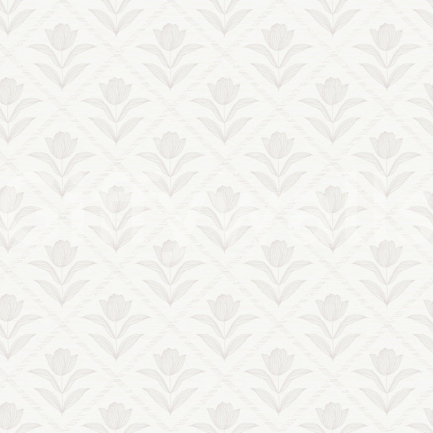 Tulip Cream Wallpaper