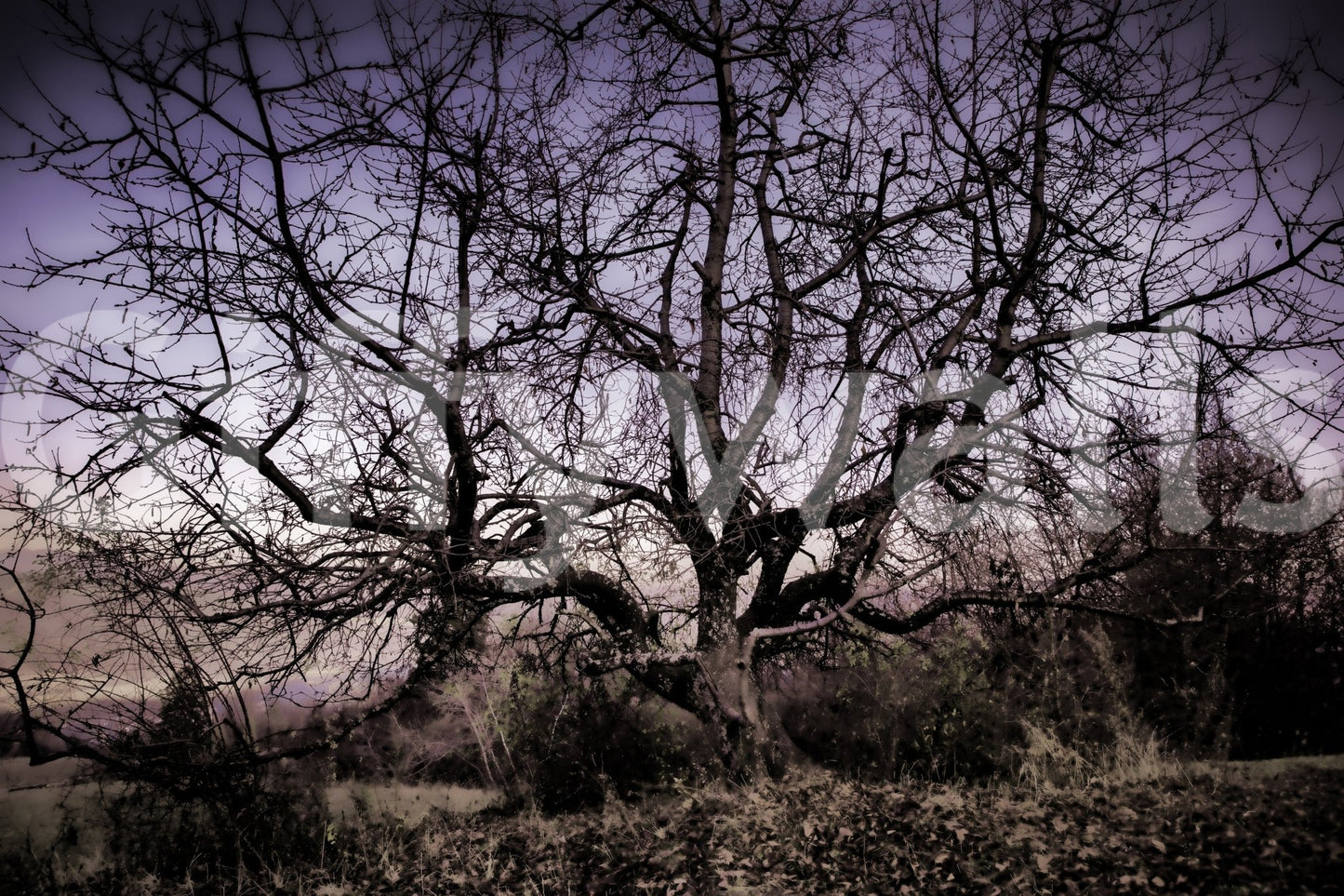 The wallpaper is applied smoothly with no visible seams.