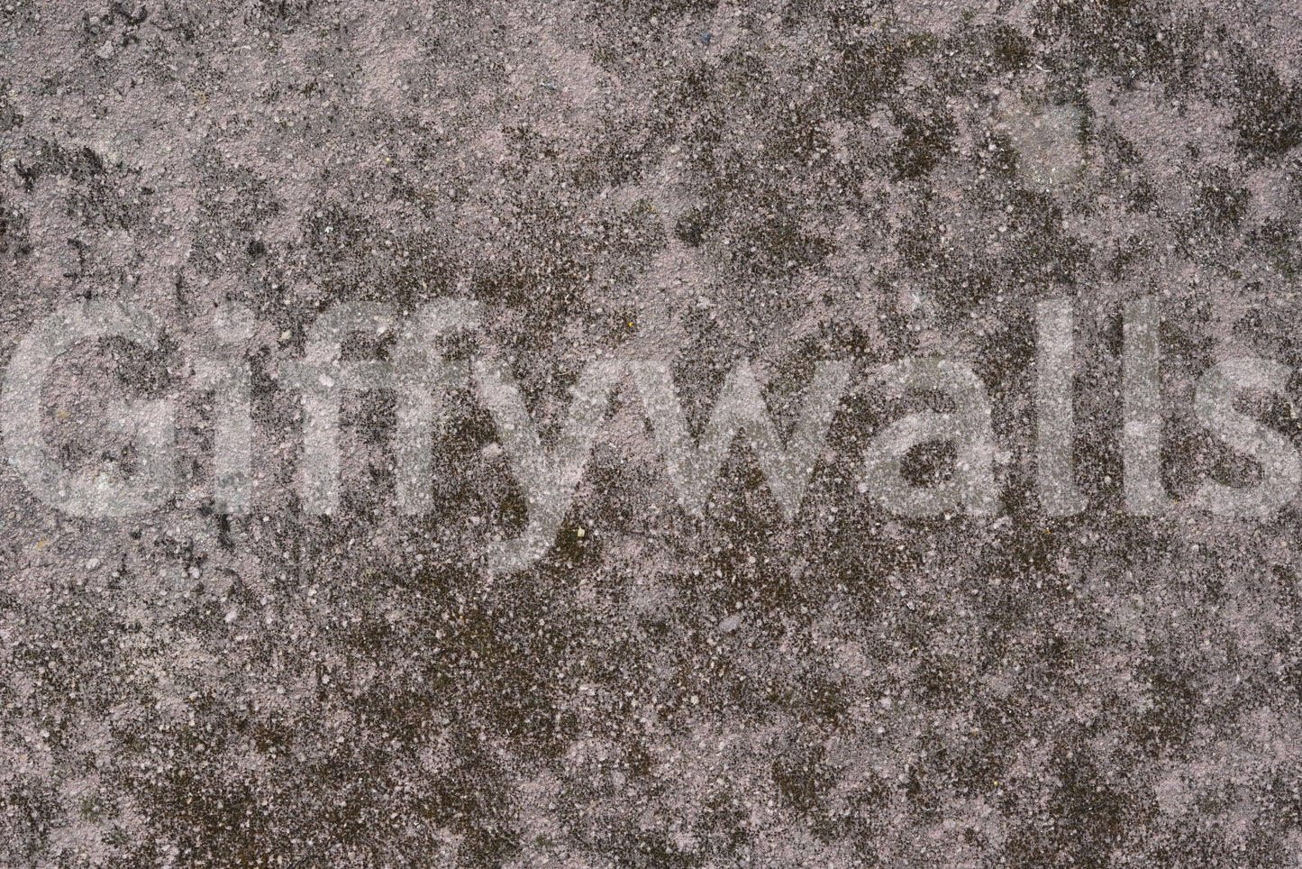 Grunge Finish Wall Mural -2566602