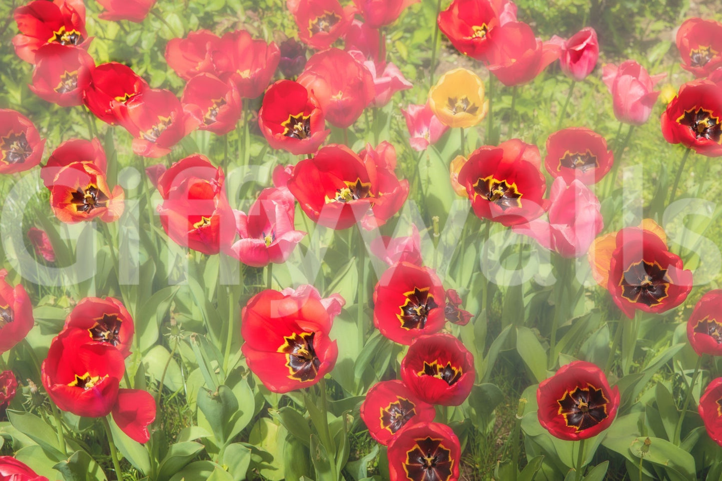 a unique wallcovering for a modern space