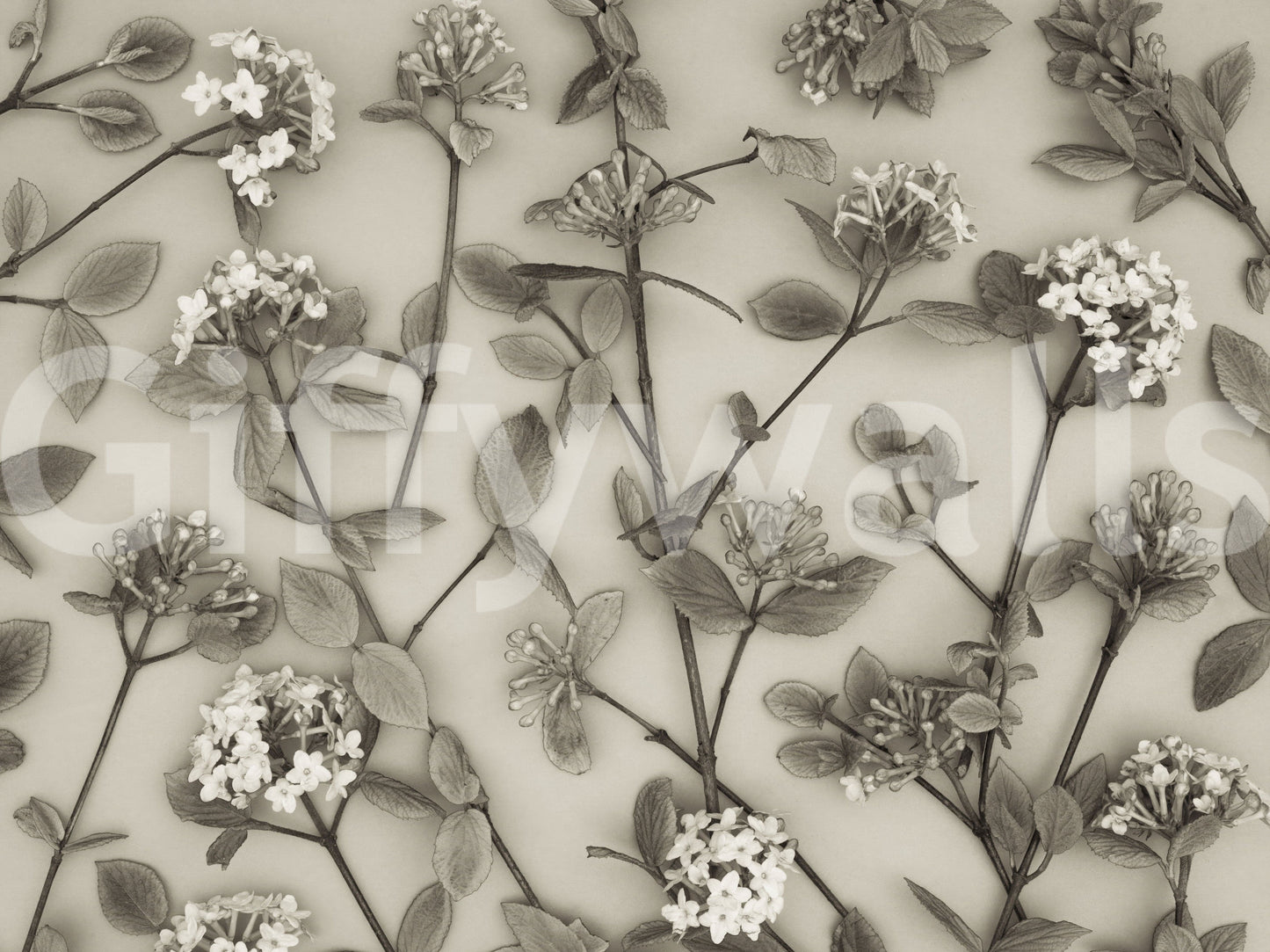 The wallpaper displays hand-drawn floral stems that create a peaceful and graceful spring atmosphere.