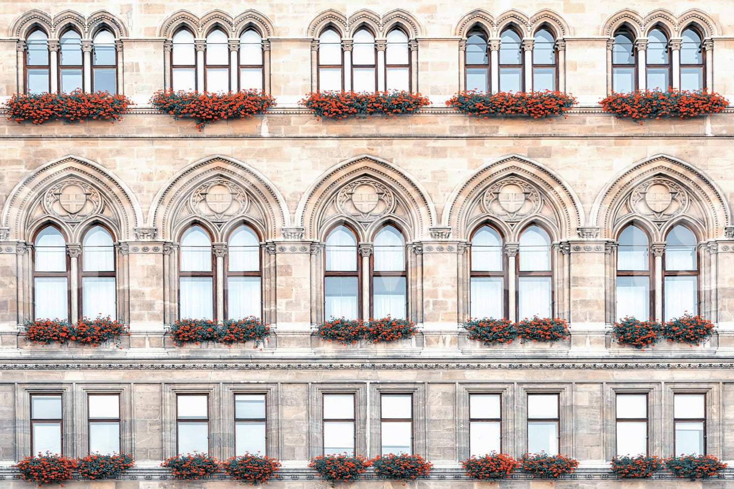 Vienna architectural wall mural with balanced facade patterns