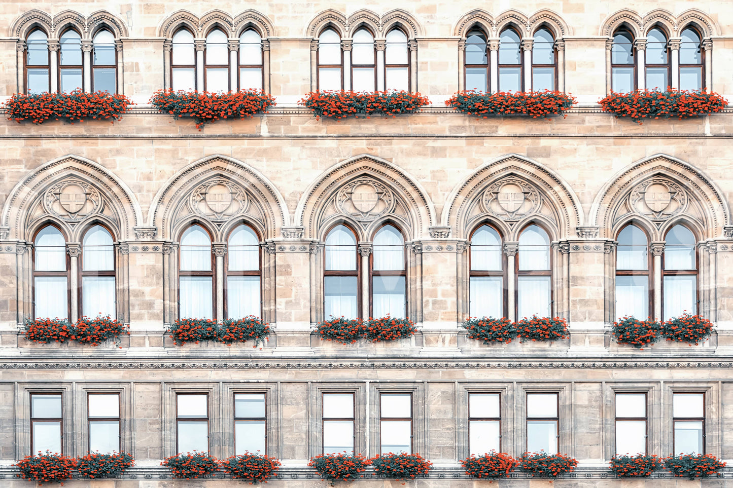 Vienna architectural wall mural with balanced facade patterns