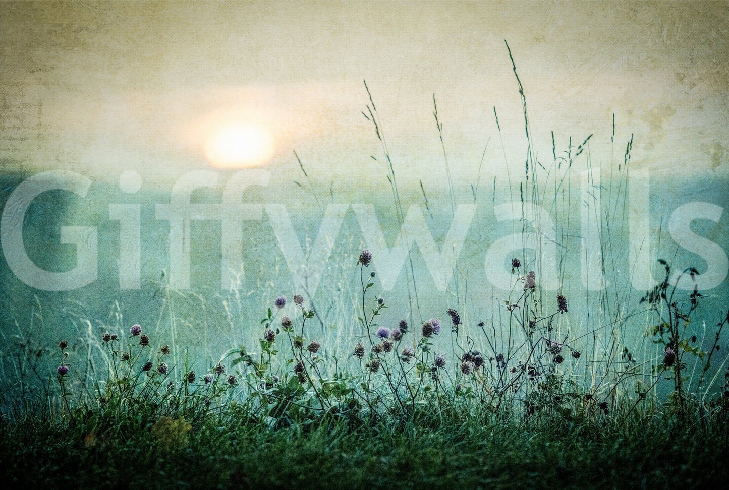 Vintage-inspired meadow wallpaper capturing the calm beauty of early morning light.