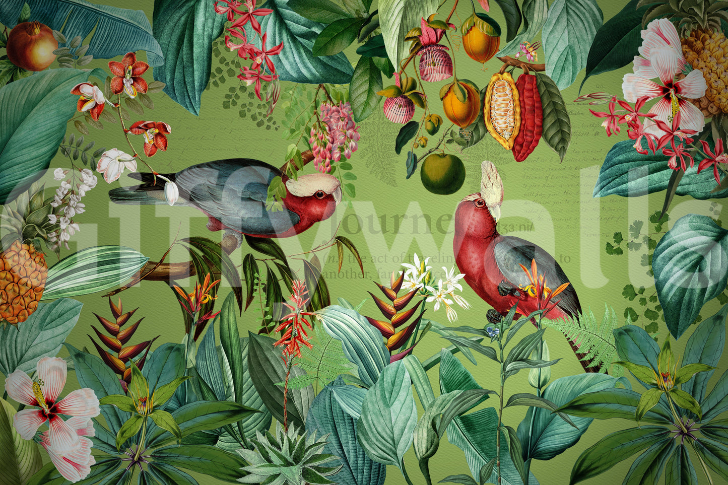 Wallpaper for walls showcasing vintage tropical wildlife