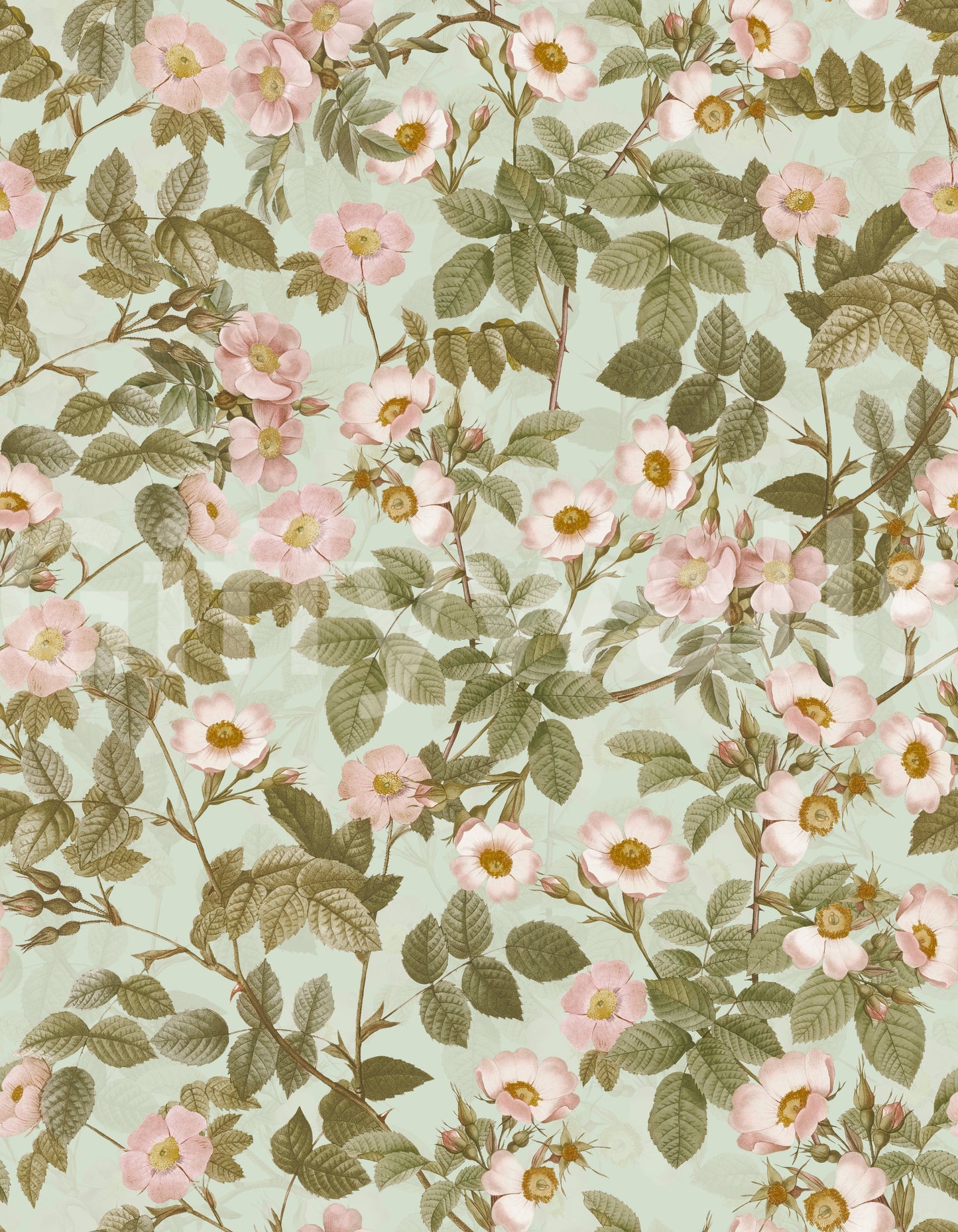 Elegant vintage wallpaper featuring roses