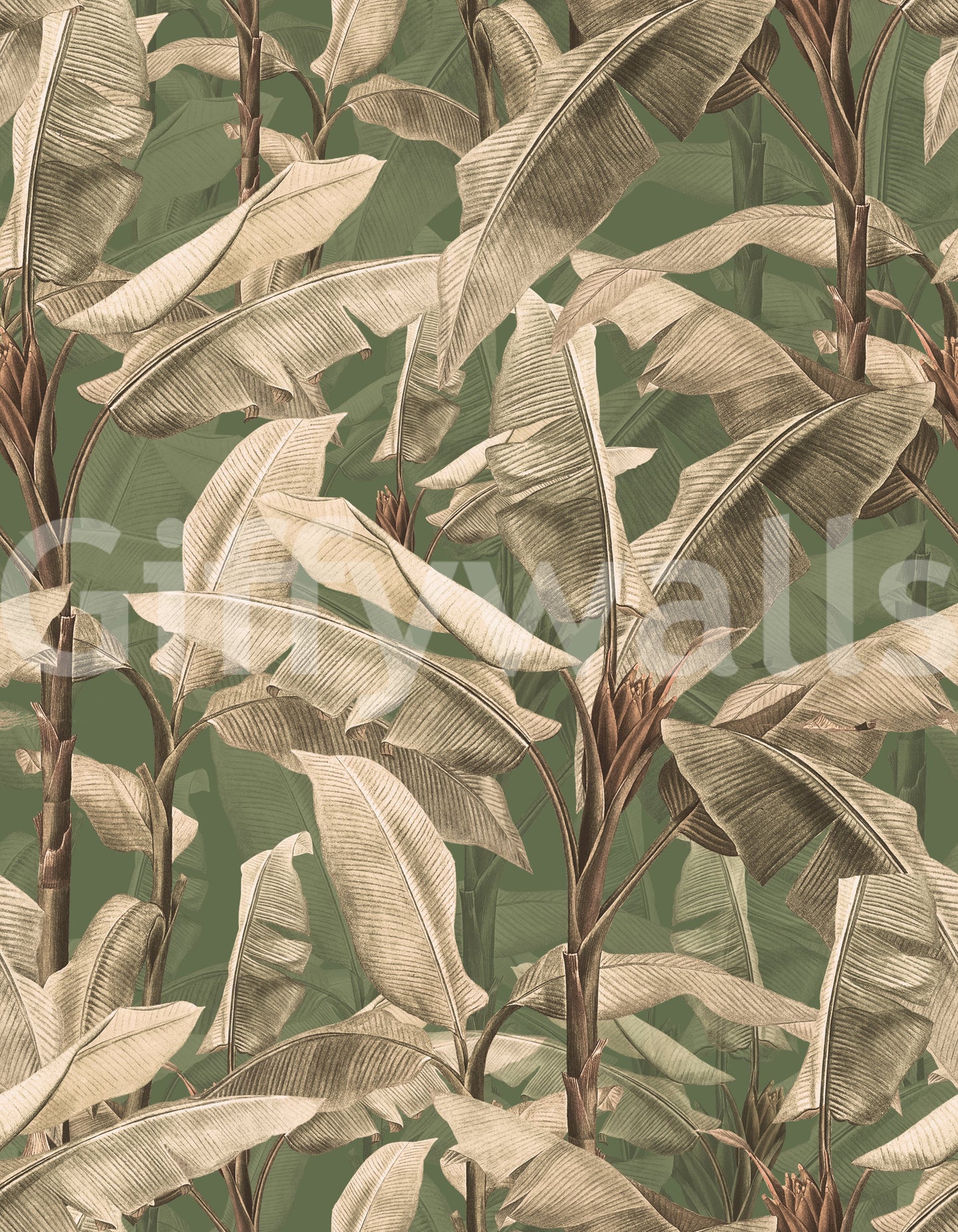 Close-up view of lush greenery in Botanical Eden wallpaper.
