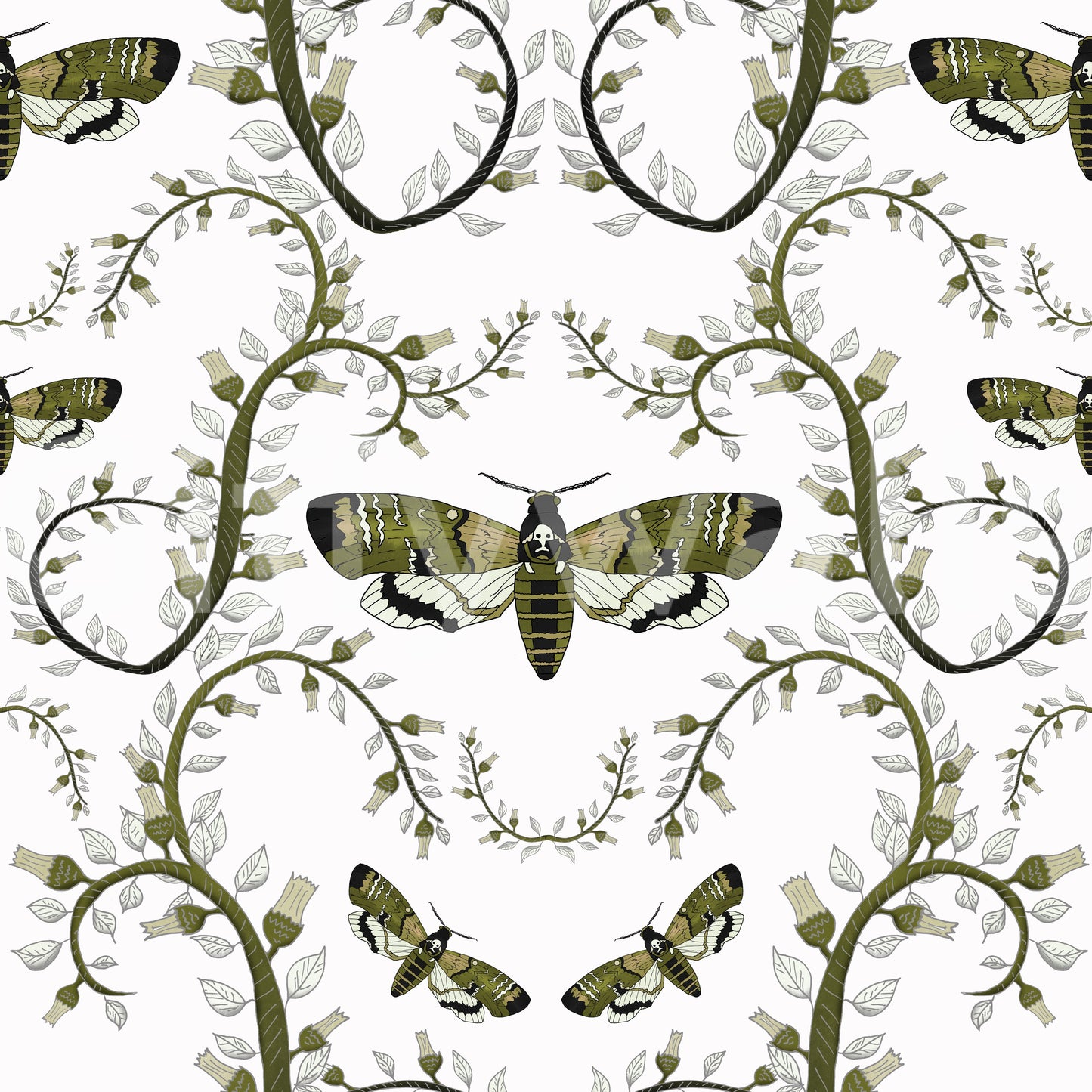 Death's-Head Hawkmoth Garden Wallpaper