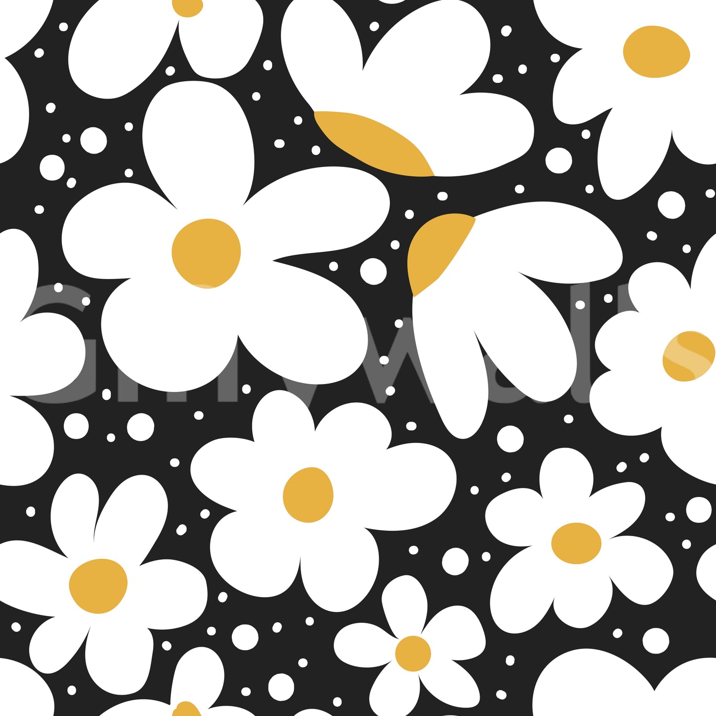White daisies on a black background wallpaper design