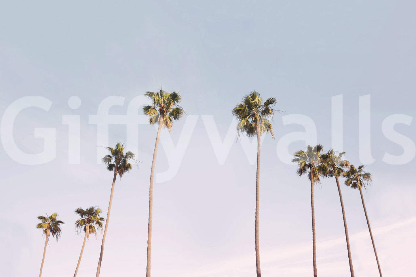 Peaceful California Dreaming wall mural for coastal-inspired decor.