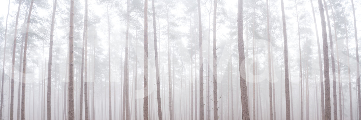 Gentle forest wallpaper with vertical composition