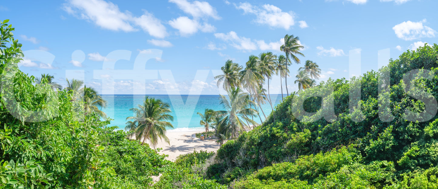 Oceanfront wall mural with blue water and palm trees.