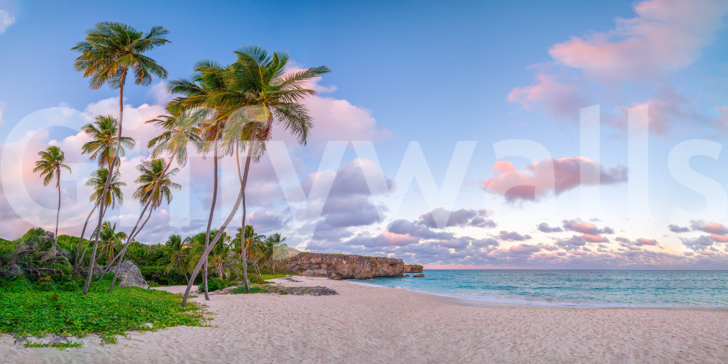 Relaxing tropical mural featuring calm ocean and warm sky.