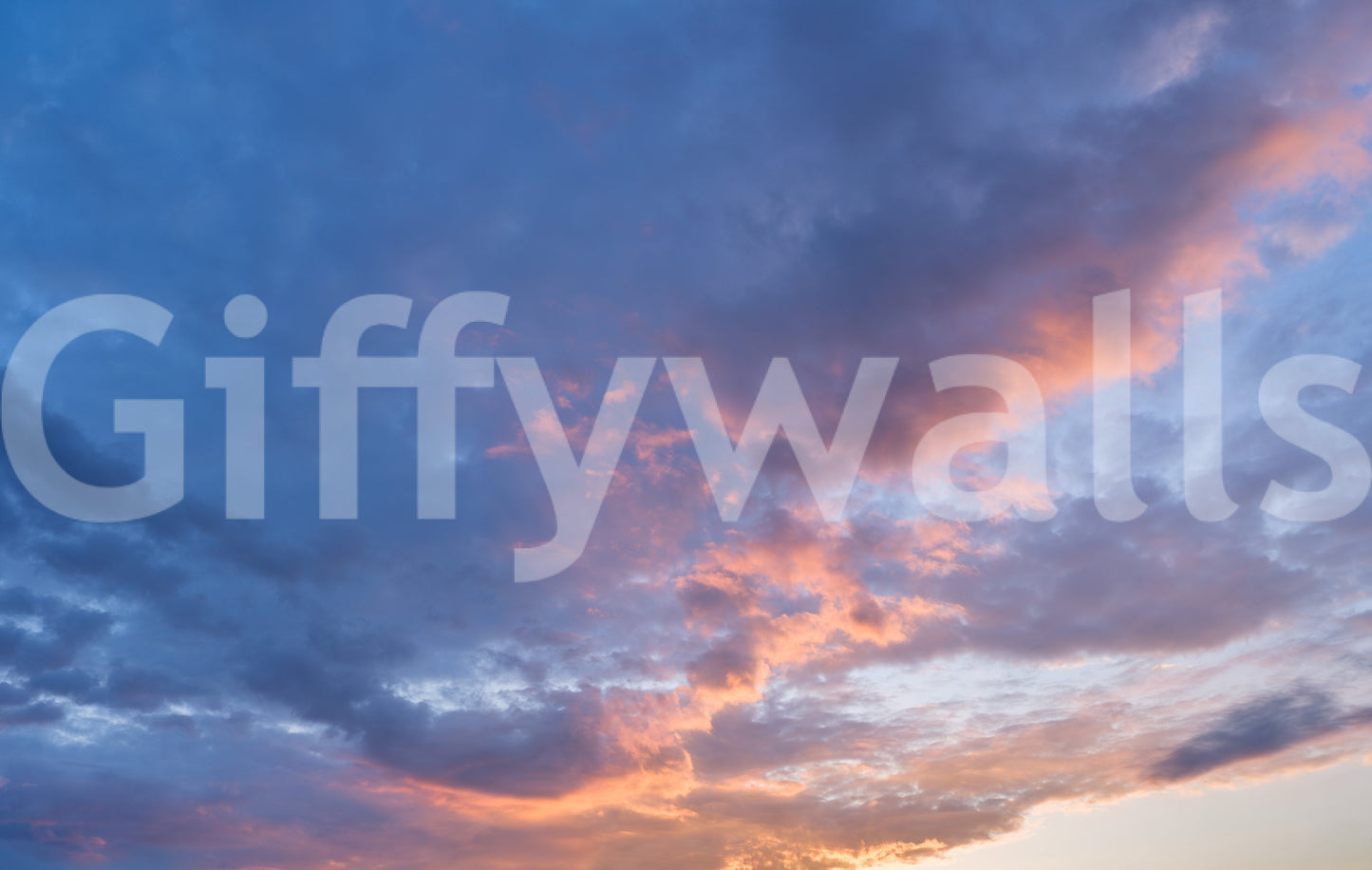 Natural peach sky wall mural