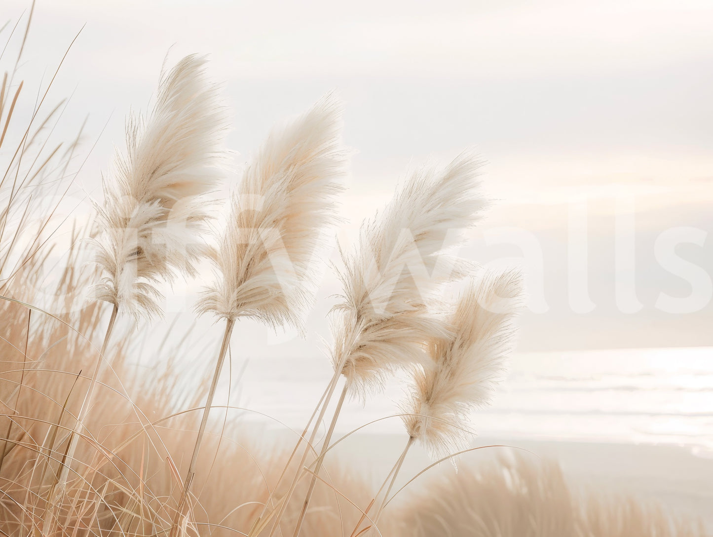 Elegant wall mural of pampas grass under the evening sky